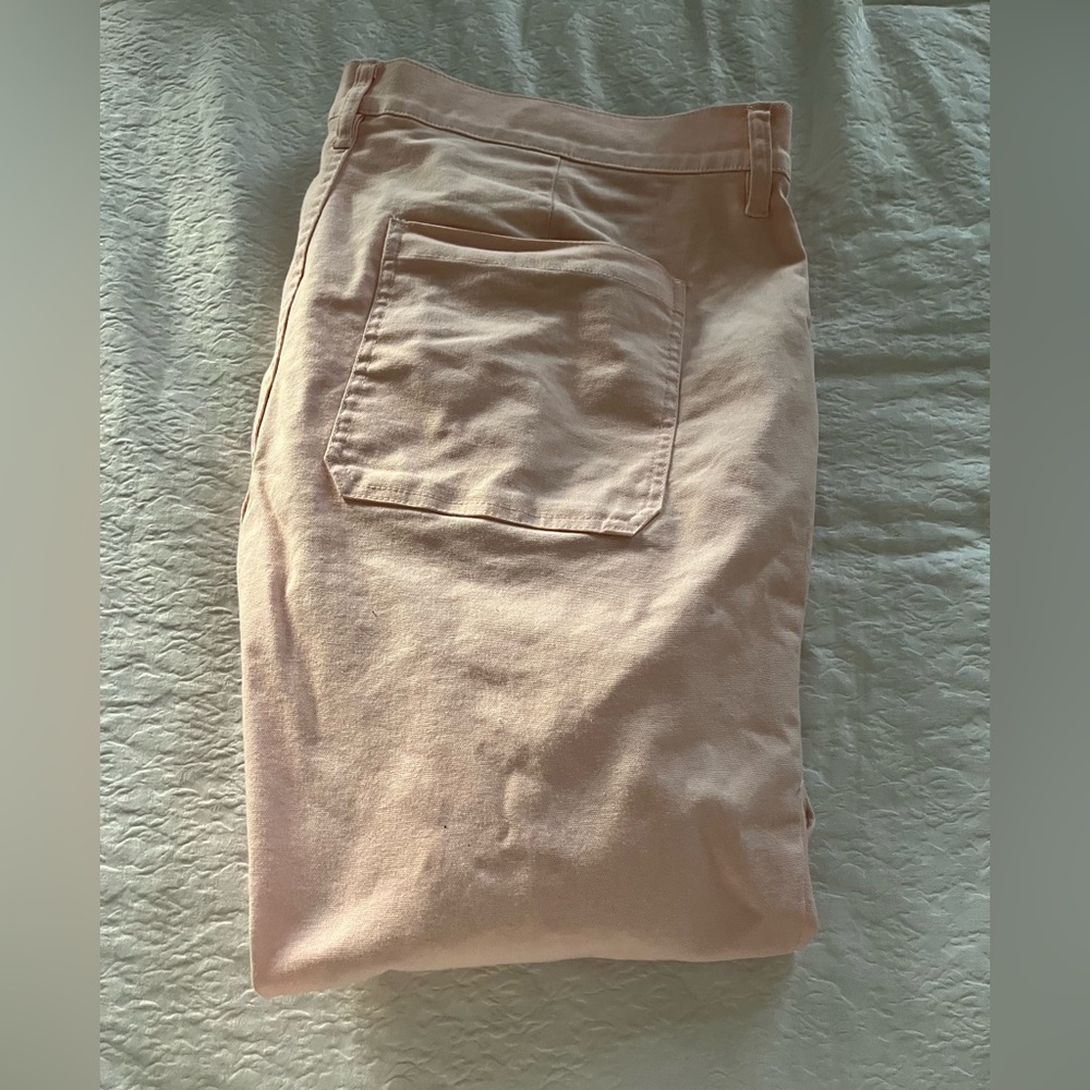 Beautiful pale pink j crew size 33 pants.